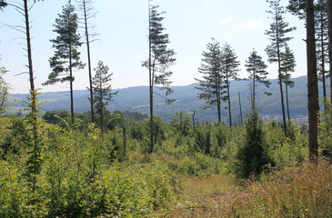 Stara Planina mountains in Bulgaria