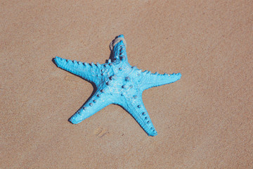 Flat lay blue starfish on the sand