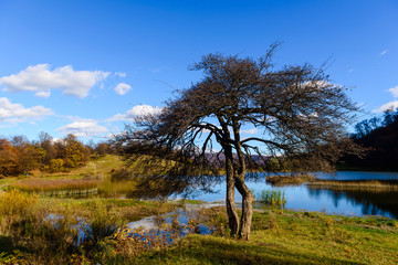 Majestic landscape, Tsover lake and alone tree, Armenia