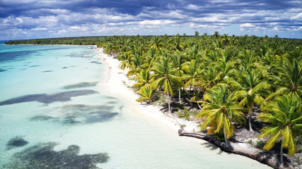 Aerial of a wonderful exotic tropical caribbean beach, Saona, Dominican Republic  - obrazy, fototapety, plakaty