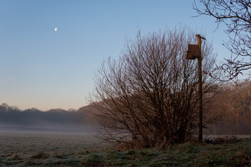 Moon on a foggy field near woods and lampost