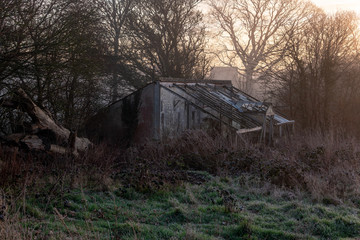 Abandoned shed in the woods at sunrise