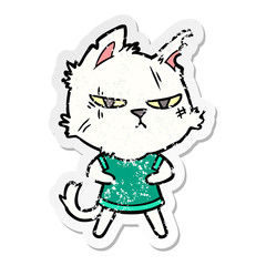 Fototapeta premium distressed sticker of a tough cartoon cat