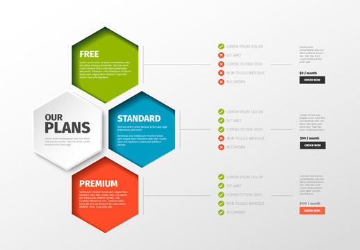 Product/Service Price Comparison Layout with Hexagon Elements 