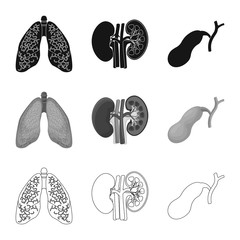 Vector illustration of body and human symbol. Collection of body and medical stock vector illustration.