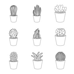 Isolated object of cactus and pot logo. Collection of cactus and cacti stock symbol for web.