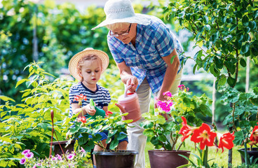 Gardening with kids. Senior woman and her grandchild working in the garden with a plants. Hobbies...