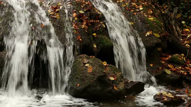Beautiful waterfall flows over stones with fallen leaves in the autumn forest