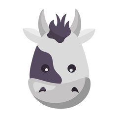 cow face animal