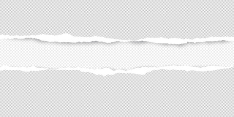 Torn squared white horizontal paper are on white background with space for text. Vector illustration