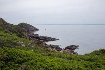 Fototapeta premium View of the Kullaberg cliff in Sweden