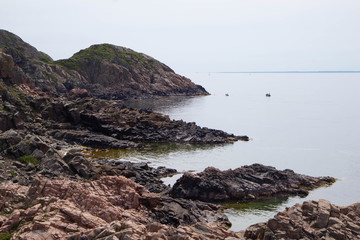 View of the Kullaberg cliff in Sweden