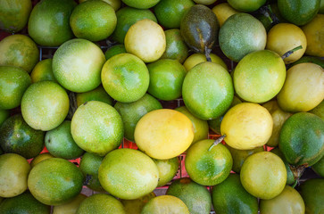 Green and yellow fresh passion fruits harvest from garden / Passiflora foetida