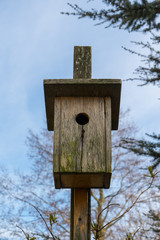 Wooden birdhouse in the blue sky with trees around it.