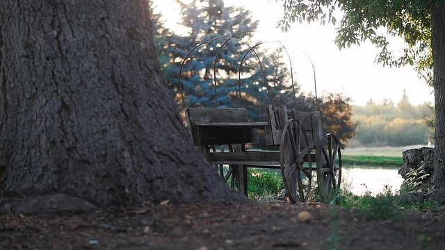 panning next to old covered wagon with trees and pond at sunrise. A panning close up shot of an old traditional wagon, trees and pond.