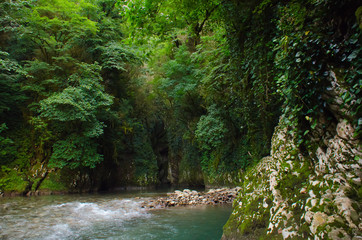 Mountain river in the forest. Abkhazia