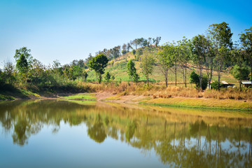 Pond on summer season forest with agricultural area and mountain background sunny day