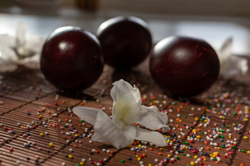Red painted eggs and white flowers of orchid on table cloth