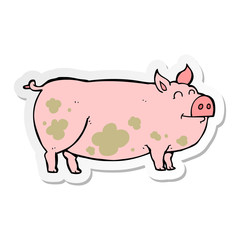 sticker of a cartoon muddy pig