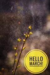 Banner hello march. Greetings of spring. We are waiting for spring. © alenka2194