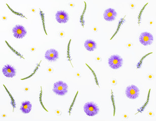 Floral pattern made of veronica flowers, violet aster and chamomile on white background. Flat lay. Top view.