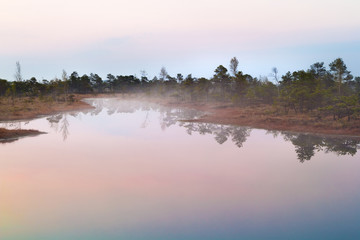 Obraz na płótnie Canvas Scenic view of a fogy swamp in a morning