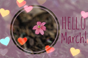 Banner hello march. Greetings of spring. We are waiting for spring.