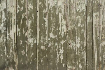 Obraz premium Wooden fence covered with old green and grey paint. For design, banner and layout