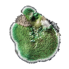 development of fungal mold in food, green mold on white background, microbiology macro abstract background