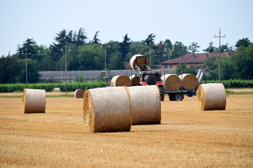 Raccogli-imballatrice ft7106_0483 Baler Empacadora Ballenpresse