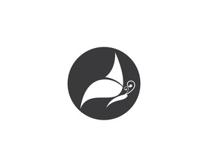 Butterfly logo template