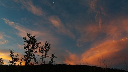 Fototapeta premium por do sol