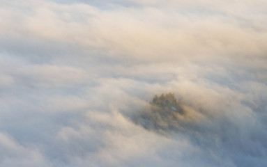 Fototapeta na wymiar Clouds over trees at sunrise, Switzerland