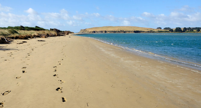 Surat Bay Beach, Catlins, New Zealand