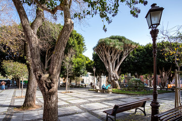 2019-02-22. San Cristobal de la Laguna, Santa Cruz de Tenerife - Plaza del Adelantado - Pictures from the city center of the former capital of the Canary Island of Tenerife. © Guillermo Enrique