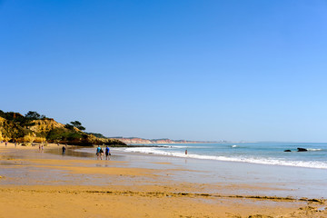 Fototapeta na wymiar Beach in Algarve at Springtime.