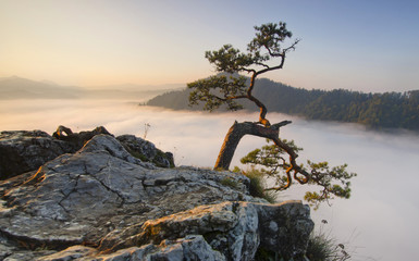 Panoramic landscape in foggy mountains, Pieniny, Poland