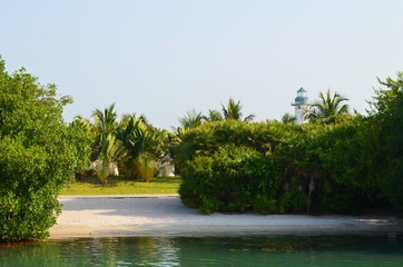 lagoon in belize
