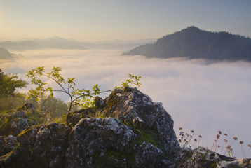 Obraz premium Sunrise in mountains, foggy autumn, Pieniny, Poland