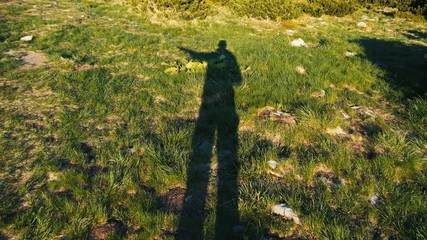 Shadow of a high person raising hand over a green lawn in slow motion