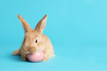 Fototapeta na wymiar Adorable furry Easter bunny and dyed egg on color background, space for text