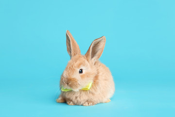 Adorable furry Easter bunny with cute bow tie on color background