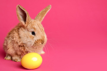 Fototapeta na wymiar Adorable furry Easter bunny and dyed egg on color background, space for text