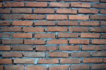 Obraz premium Wall Brick Background