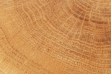 Texture of wooden surface as background, top view