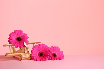 Wooden plane and flowers on table against color background, space for text. International Women's...
