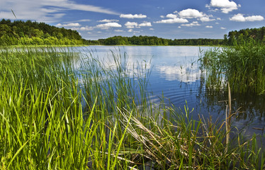 Obraz premium Spring lake, landscape