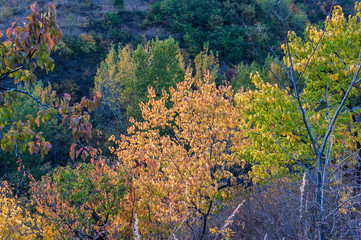 Qingshan pass the Great Wall and Castle Peak autumn scenery