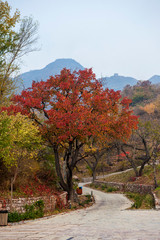 Qingshan pass the Great Wall and Castle Peak autumn scenery