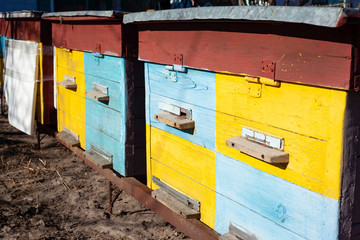 Fototapeta na wymiar home beehive for bees and honey, yellow and blue